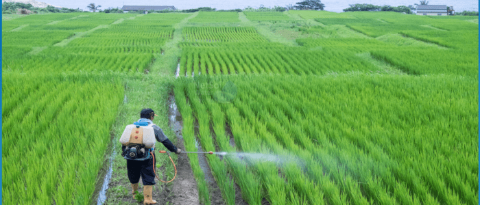 Water_pollution_caused_by_chemical_fertilizers